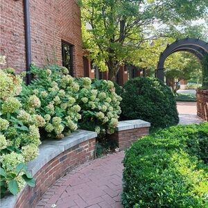 Meet your Posher, Mina